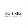 Centre for New Economics Studies Centre for New Economics Studies