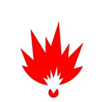 Forze Explosive Services
