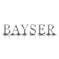 Bayser Consulting