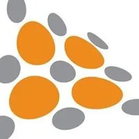 Shape Services Limited