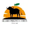 Selebi Phikwe Citrus Selebi Phikwe Citrus