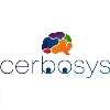 Cerbosys Technologies Private Limited Cerbosys Technologies Private Limited