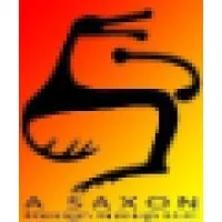 A SAXON DESIGN GROUP LLC