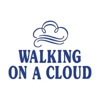 Walking On A Cloud