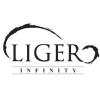 Liger Infinity Sdn Bhd