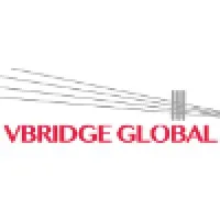 VBridge Global LLC