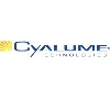 Cyalume Technologies SAS Cyalume Technologies SAS