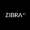Zibra AI Zibra AI