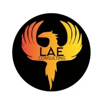 LAE Consulting Inc