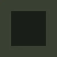 Solidarity of Unbridled Labour