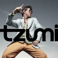 tzumi electronics