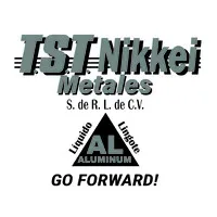 TST NIKKEI METALES S RL DE CV