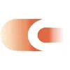 Citi Investment Capital Limited Citi Investment Capital Limited
