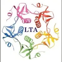 LET'S TALK ACADEMY