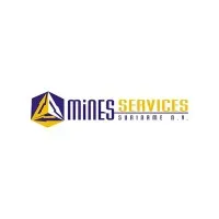 Mines Services Suriname N.V. email format