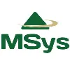 MSys Consultoria MSys Consultoria