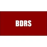BDRS & Associates LLP