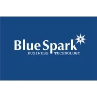 Bluespark Business Technology Solution Plc