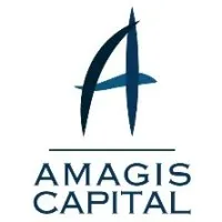 Amagis Capital: Fin-Tech,  Financial Advisory, Cloud & Cybersecurity email format