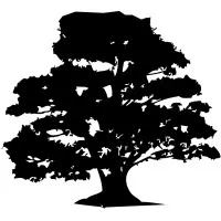 Augusta Healthcare, Inc.