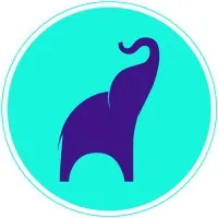 Ayraa LLC
