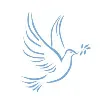 Projects for Peace Projects for Peace