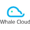 Whale Cloud