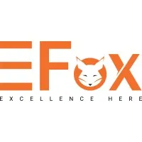 EFox IT