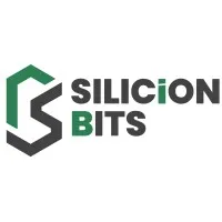 Silicion Bits