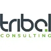 Tribal Change Consulting & Resourcing