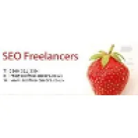 SEO Freelancers