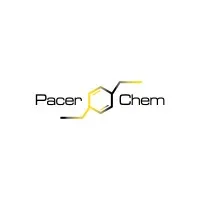 Pacer Chemical Inc
