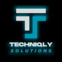Techniqly Solutions