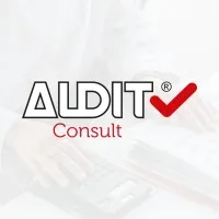 AUDIT Consult AUDIT Consult