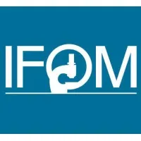 IFOM IFOM