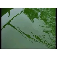 Environalgae