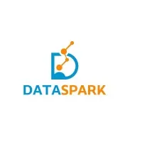 DATASPARK ANALYTICS LLP