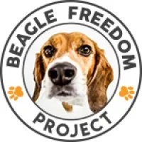 Beagle Freedom Project