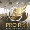 Pro Risk Service Group LLC Pro Risk Service Group LLC