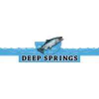 Deep Springs Trout Club