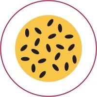 PassionAd Social