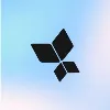 AppsFlyer AppsFlyer