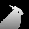 Robbin Robbin