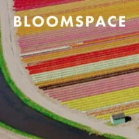 Bloomspace LLC