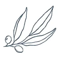 Evermore Accounting & Coaching, LLC Evermore Accounting & Coaching, LLC