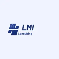 LMI Consulting LMI Consulting