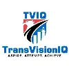 TransVisionIQ Consulting TransVisionIQ Consulting