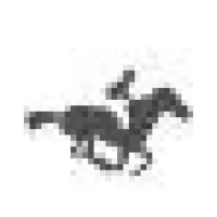 Moving Images Llc Moving Images Llc