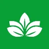 Nelumbo Consultores