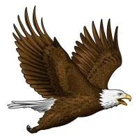 EAGLE  USA, Inc.